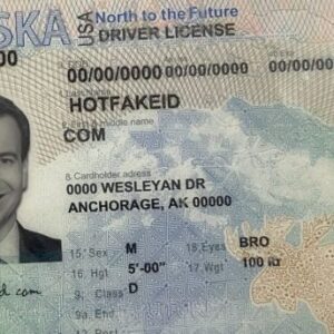Novelty Alaska ID Card