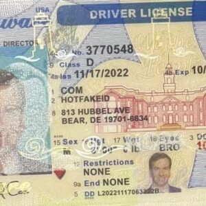 Novelty Delaware ID Card