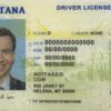 Novelty Montana ID Card