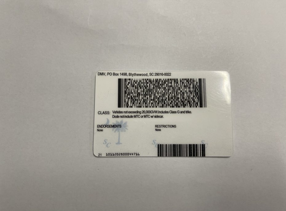 South-carolina-fake-idback-scaled-930x688